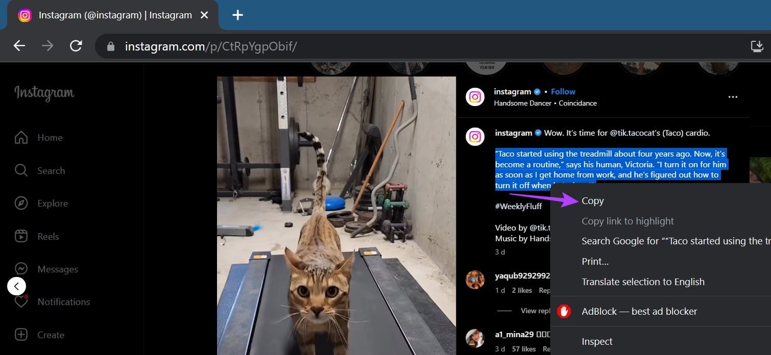 Copy-Text-from-An-Instagram-Post-3 4 طرق سهلة لنسخ النص من منشور Instagram