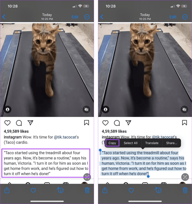 Copy-Text-from-An-Instagram-Post-6 4 طرق سهلة لنسخ النص من منشور Instagram