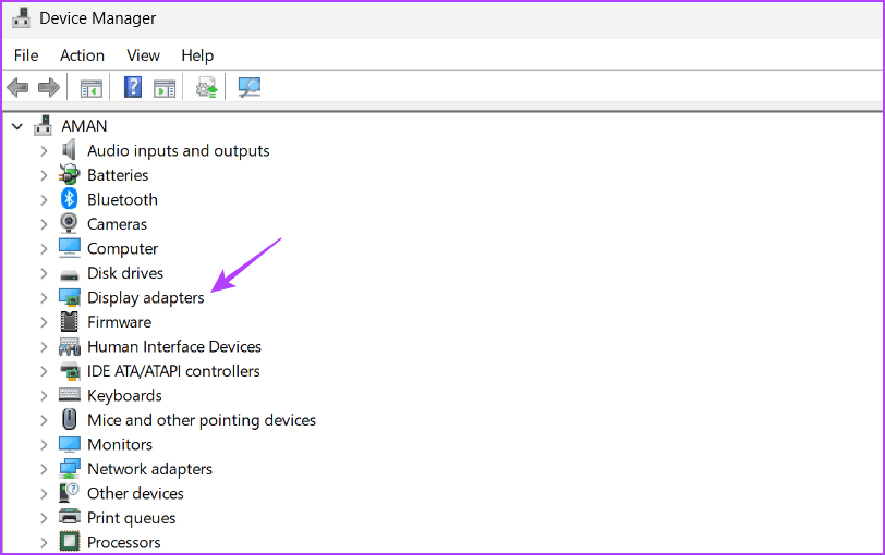 Display-Adapters-node أفضل 5 طرق لإصلاح تعطل Resident Evil 4 Remake على Windows 11