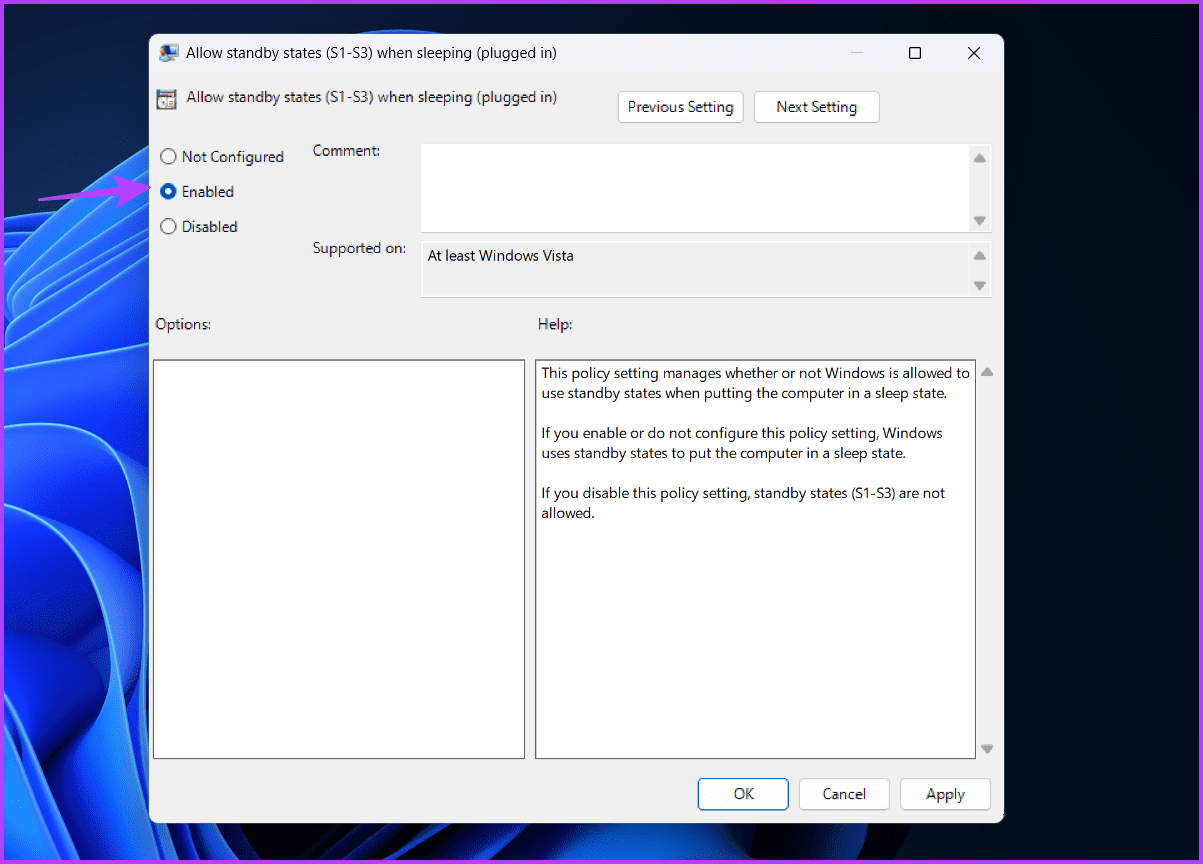 Enabled-option-6 4 أفضل الطرق لتعطيل وضع السكون في Windows 11