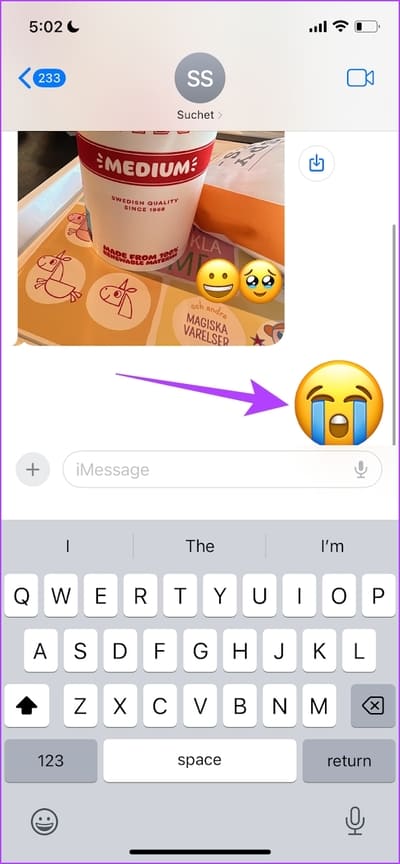 Long-Tap-on-Sticker كيفية إنشاء واستخدام الملصقات في iMessage على iOS 17