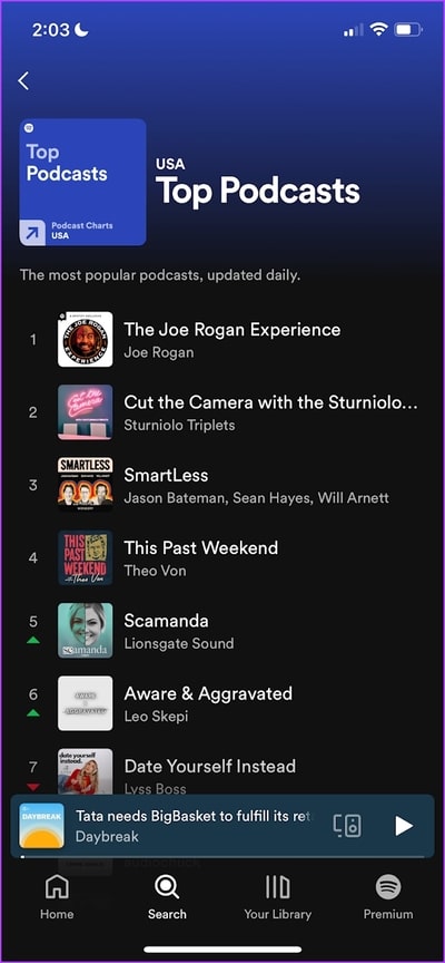 Spotify-Podcasts1 أفضل 7 تطبيقات Podcasts لـ iPhone في عام 2025