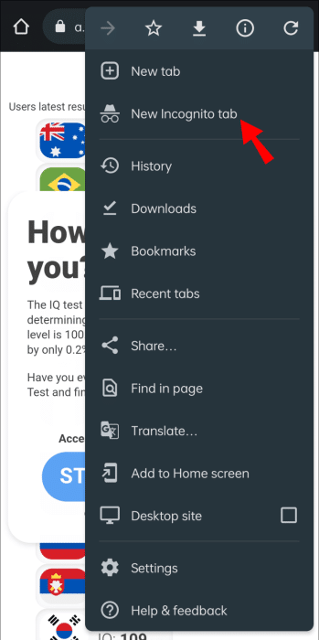 android-incognito-e1687255048971 كيفية تعطيل التصنيفات في Google Maps