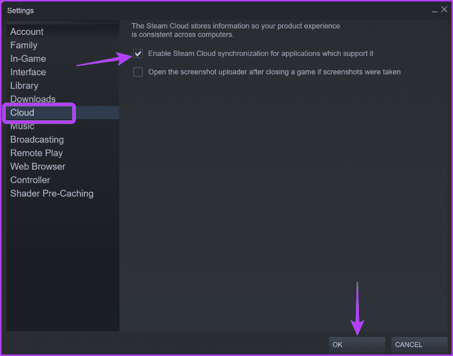 Cloud أفضل 5 طرق لإصلاح خطأ Steam Cloud على Windows 11