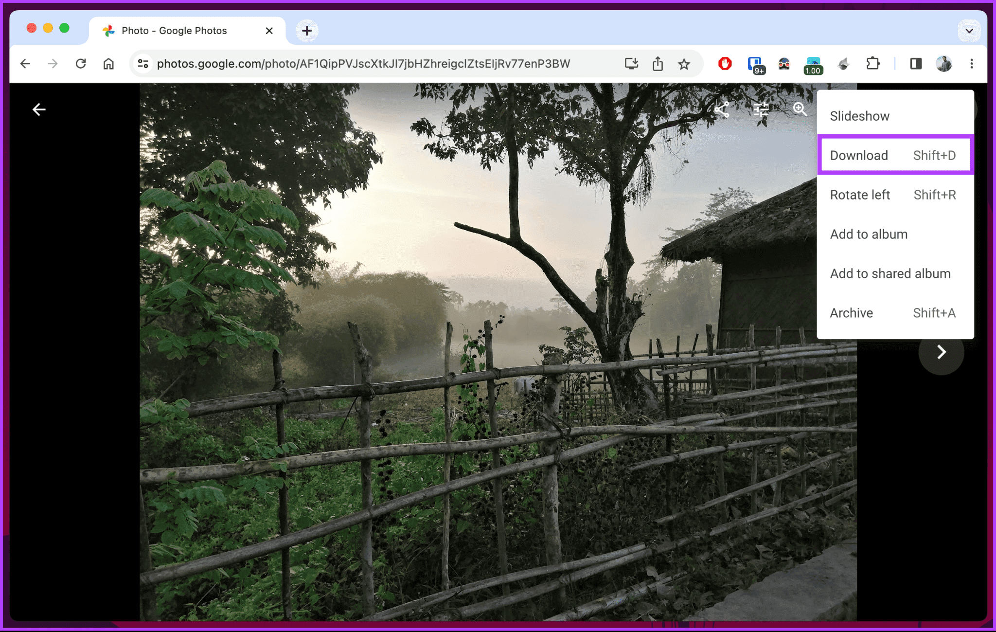 Download-Photos-From-Google-Photos_16-2048x1299-1 كيفية تنزيل الصور من Google Photo على سطح المكتب والجوال