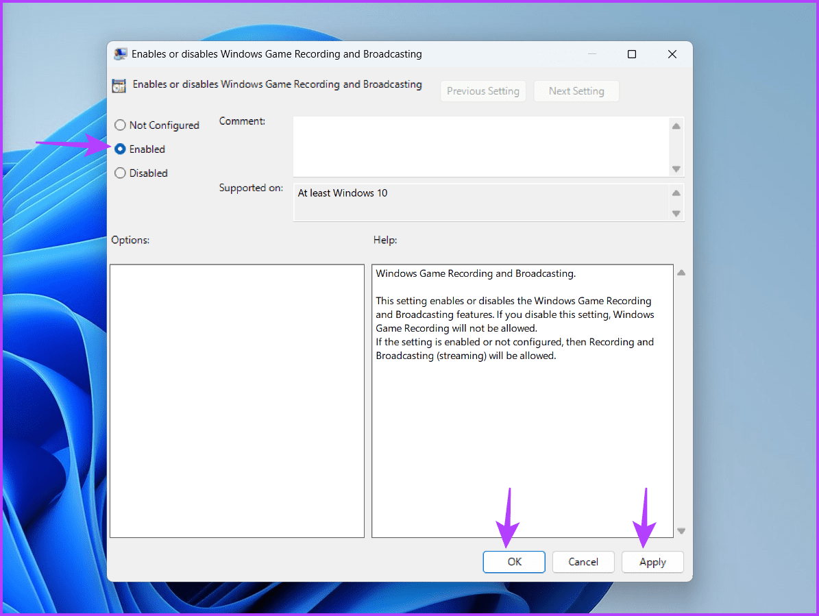 Enabled-option-8 أفضل 5 طرق لإصلاح عدم عمل الميكروفون في Xbox Game Bar على Windows 11