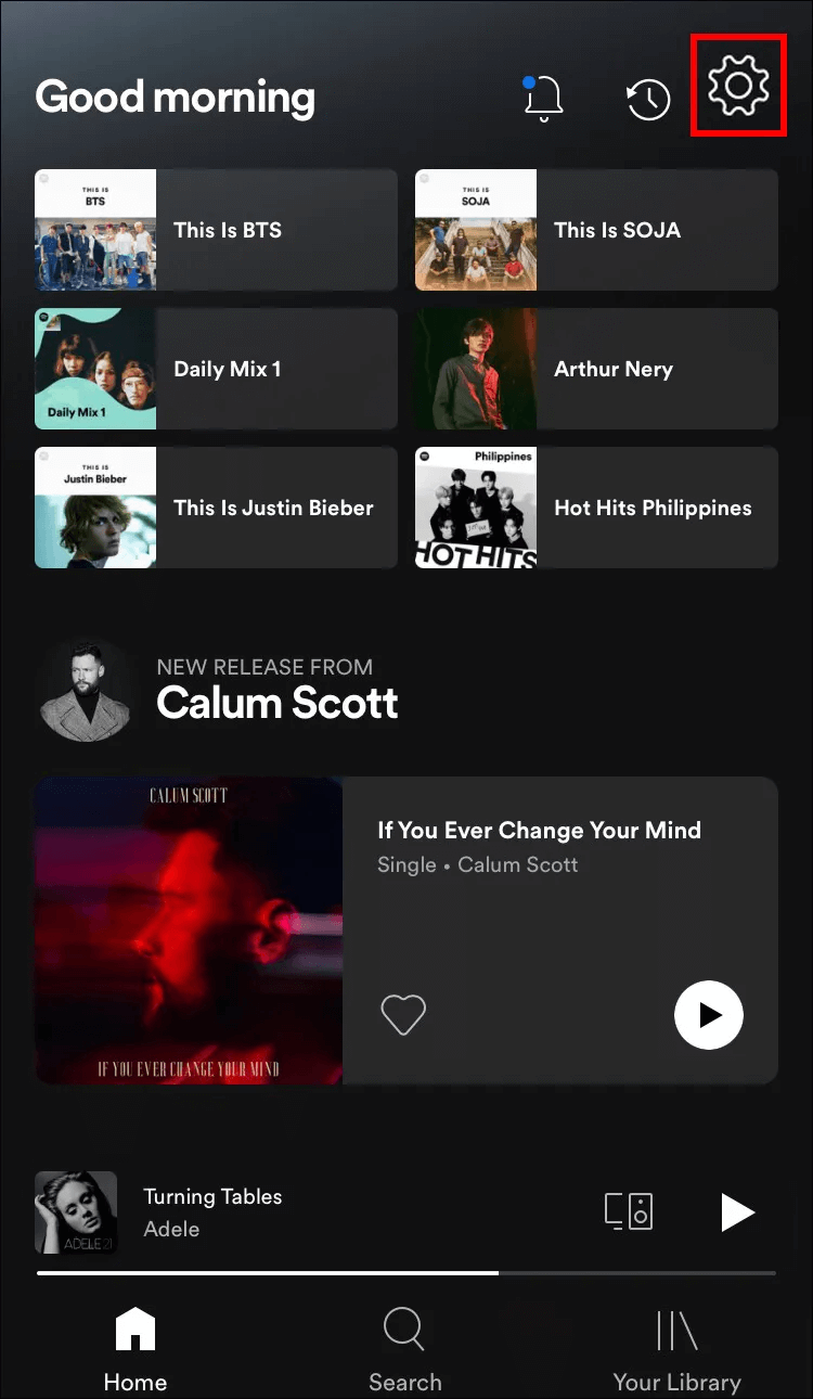 How-to-Turn-On-or-Off-Canvas-in-Spotify-on-an-iPhone-2 كيفية تشغيل أو إيقاف تشغيل Canvas في Spotify