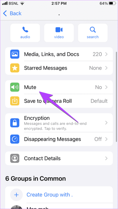 WhatsApp-Chat-Mute-iPhone 3 طرق لإيقاف تلقي رسائل WhatsApp دون حظر