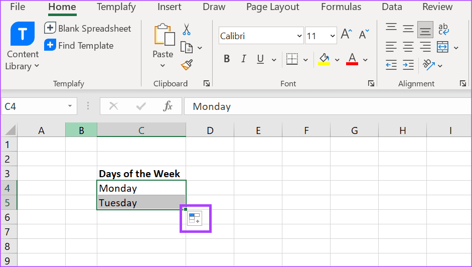 how-to-use-auto-fill-flash-fill-in-excel-5 دليل استخدام الملء التلقائي والتعبئة السريعة في Microsoft Excel