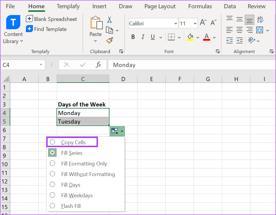 how-to-use-auto-fill-flash-fill-in-excel-6 دليل استخدام الملء التلقائي والتعبئة السريعة في Microsoft Excel