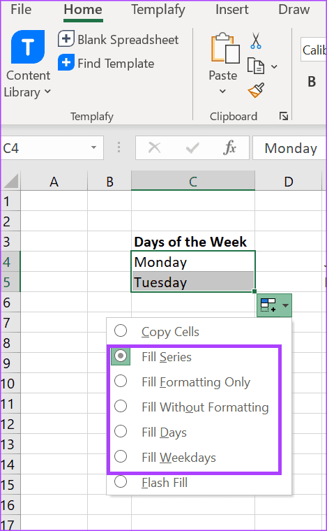 how-to-use-auto-fill-flash-fill-in-excel-9 دليل استخدام الملء التلقائي والتعبئة السريعة في Microsoft Excel