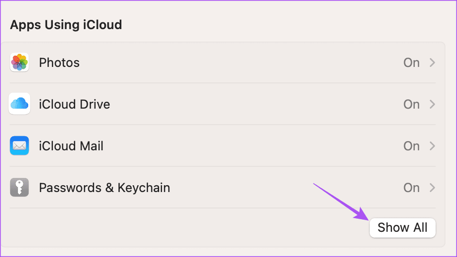 show-all-apps-icloud-mac كيفية إيقاف النسخ الاحتياطي التلقائي إلى iCloud على iPhone و iPad و Mac
