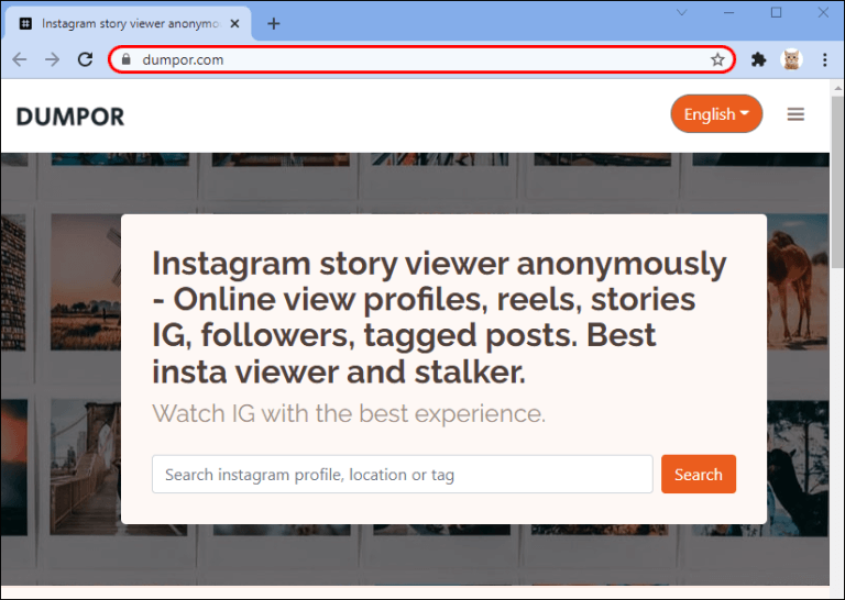 15-12 كيفية عرض قصص Instagram دون إنشاء حساب