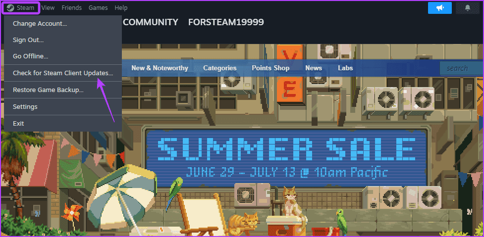 Check-for-Steam-Client-Updates أفضل 7 طرق لإصلاح عدم التعرف على جهاز التحكم في Steam على Windows 11