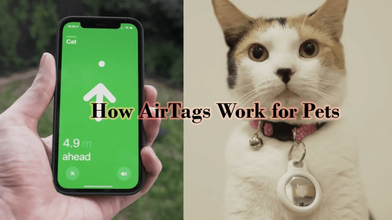How-AirTags-Work-for-Pets كيفية عمل AirTags