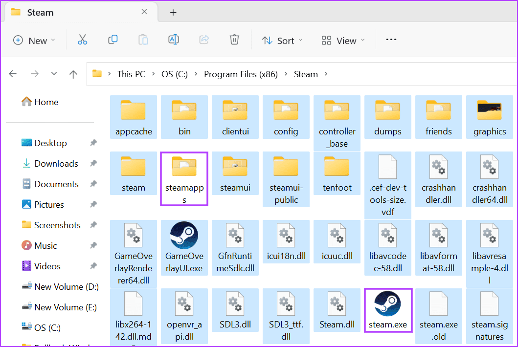 Reset-Steam-2 أفضل 8 طرق لإصلاح خطأ "تكوين المستودع غير صالح" على Steam في Windows 11