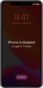Screen-Shot-2020-06-05-at-11.38.43-AM-1 كيفية إعادة تعيين رمز مرور IPhone