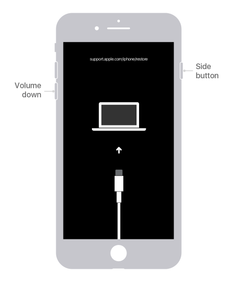 كيفية إعادة تعيين رمز مرور IPhone - %categories