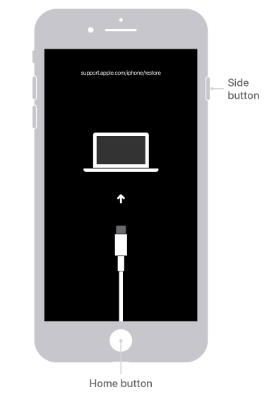 Screen-Shot-2020-08-26-at-7.35.16-AM كيفية إعادة تعيين رمز مرور IPhone
