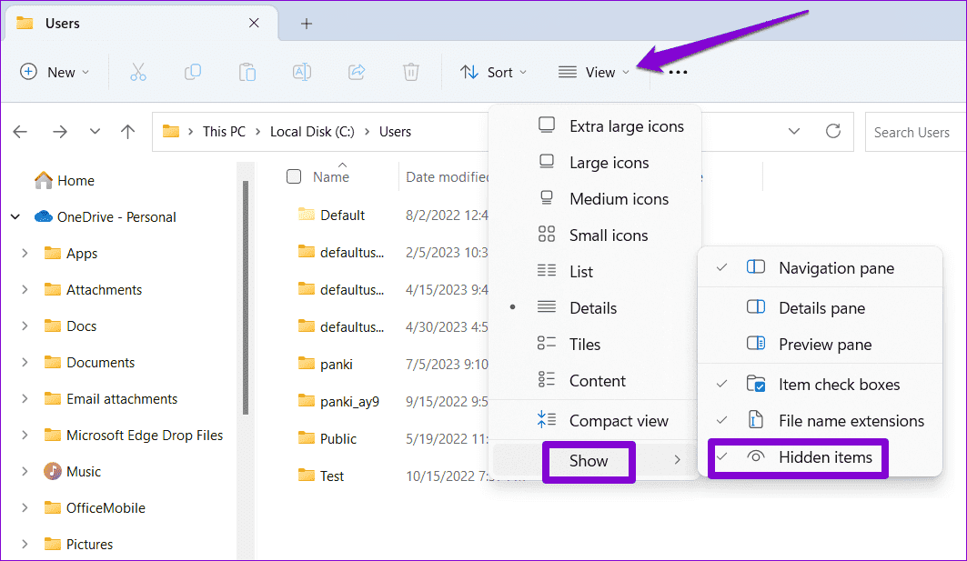 Show-Hidden-Items-on-Windows أهم 5 إصلاحات لخطأ "فشلت خدمة ملف تعريف المستخدم في تسجيل الدخول" في Windows 11