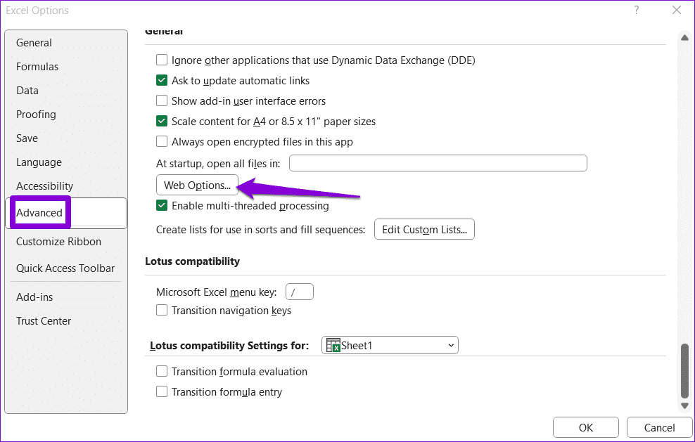 Web-Options-in-Excel أفضل 6 طرق لإصلاح عدم عمل الارتباطات التشعبية في Microsoft Excel