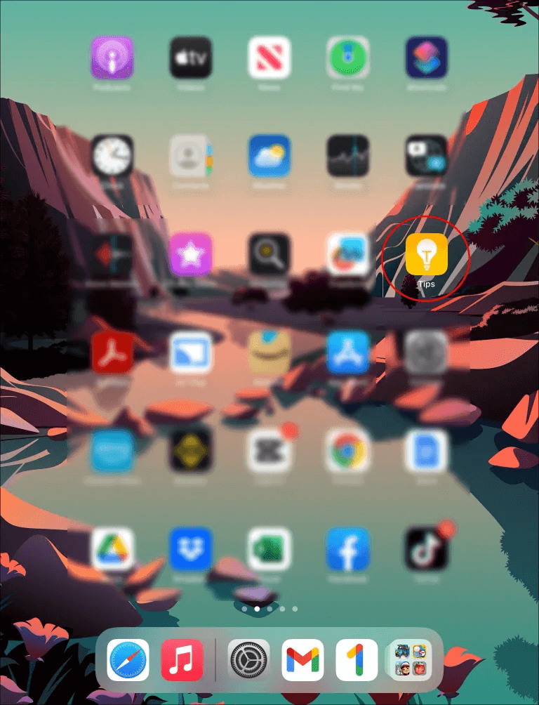 iPad-How-to-Clear-Cache-on-Apps27 كيفية مسح ذاكرة التخزين المؤقت لتطبيقات IPad