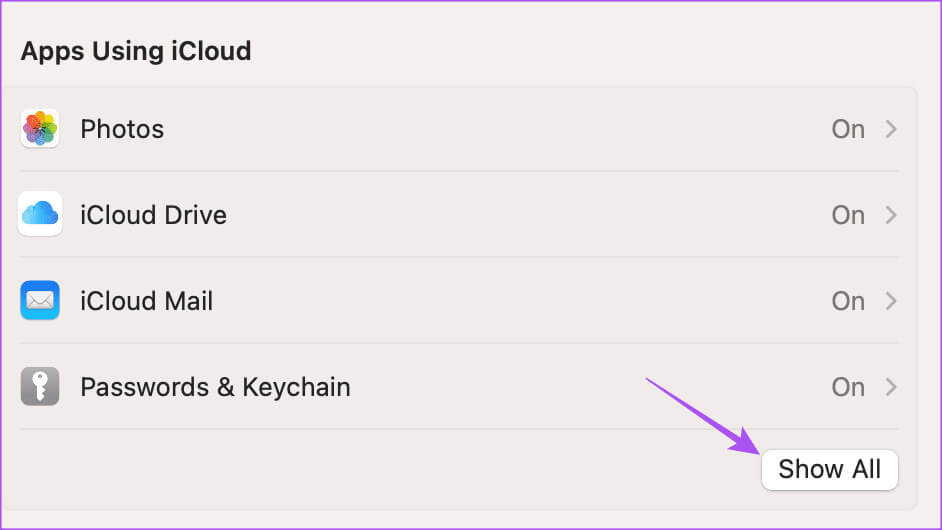 show-all-apps-icloud-mac أفضل 7 إصلاحات لعدم مزامنة جهات اتصال Outlook على iPhone وMac