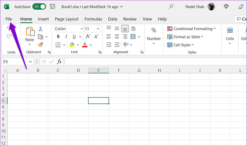 Excel-File-Menu-6 أفضل 7 طرق لإصلاح مشكلة عدم عمل الملء التلقائي في Microsoft Excel على Windows