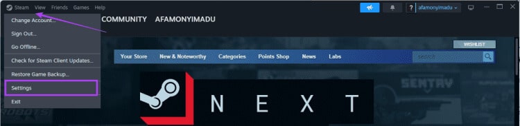 Steam-settings-3-750x183-1 أفضل 7 إصلاحات لعمل وحدة التحكم في الألعاب مثل الماوس على Windows 11
