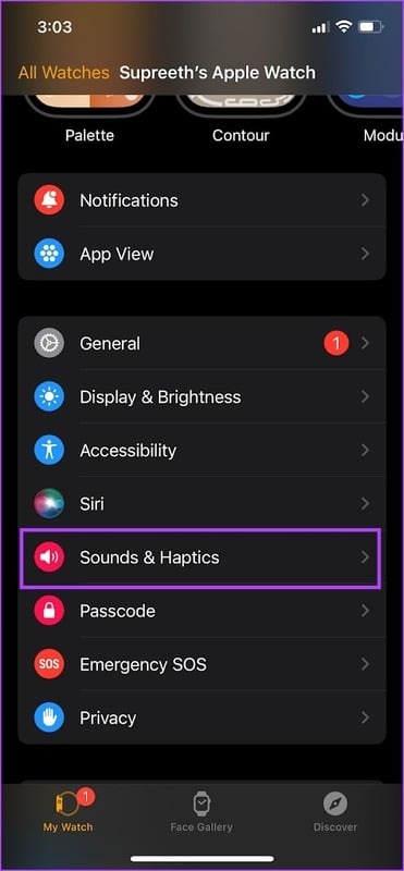 Tap-on-Sound-and-Haptics-1 كيفية ضبط المنبه على Apple Watch