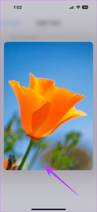 You-can-also-tap-and-hold-on-the-flower-image-below-it-to-test-out-the-new-setting-472x1024-1-e1696957738592 كيفية استعادة 3D Touch على iPhone بنظام iOS 17