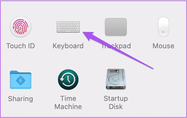 keyboard-settings-mac كيفية تمكين أو تعطيل النص التنبؤي المضمن على iPhone وiPad وMac