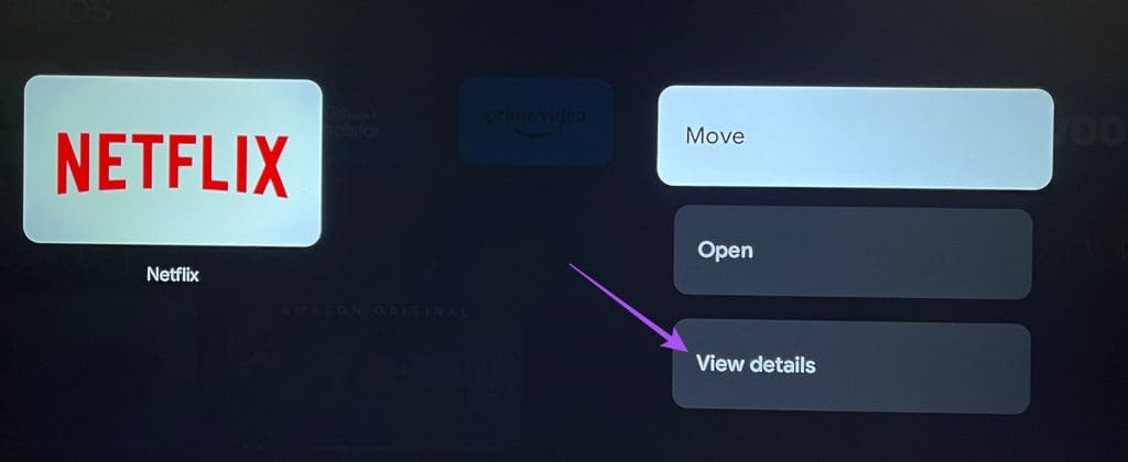 view-details-netflix-google-tv-1024x420-1 أفضل 6 إصلاحات لعدم تشغيل Google TV لمقاطع فيديو بدقة 4K