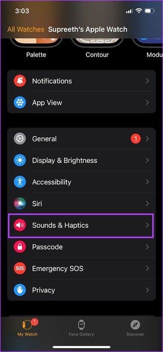 Tap-on-Sound-and-Haptics-1 كيفية ضبط مستوى الصوت على Apple Watch