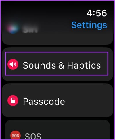Tap-on-Sound-and-Haptics كيفية ضبط مستوى الصوت على Apple Watch