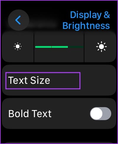 كيفية تغيير حجم الخط على Apple Watch - %categories
