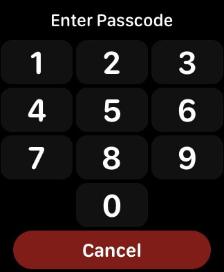 Enter-Passcode-to-Reset 9 طرق لإصلاح عدم عمل مكبر الصوت على Apple Watch