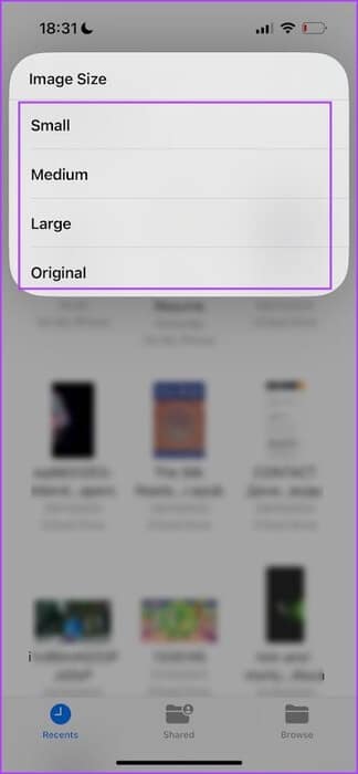 Select-Image-Size كيفية تحويل صور WEBP إلى JPG/PNG على iPhone