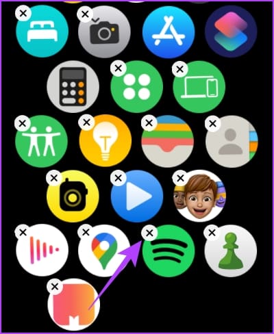 Tap-on-Remove-app-on-watch 10 طرق لإصلاح استنزاف بطارية Apple Watch بعد تحديث watchOS 10