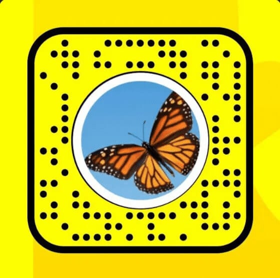 Unlock-the-Butterflies-Lens-on-Snapchat_11 4 طرق لفتح عدسة الفراشات على Snapchat