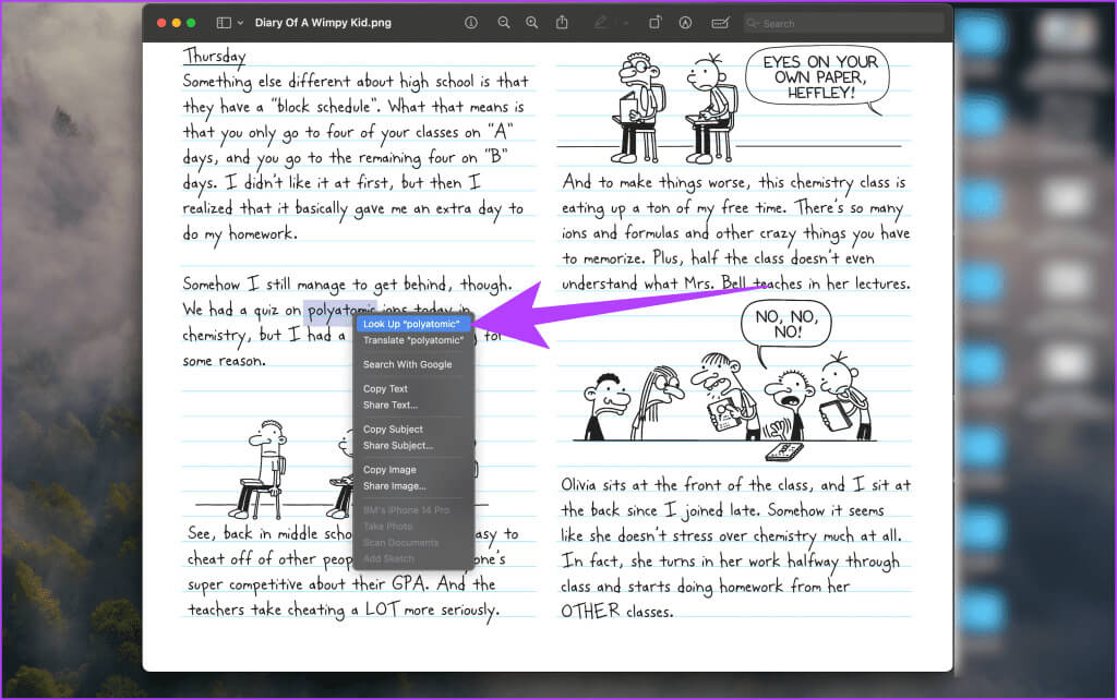 4.-simply-highlight-it-right-click-and-select-Look-Up-1024x642-1 كيفية استخدام Live Text على Mac: دليل كامل
