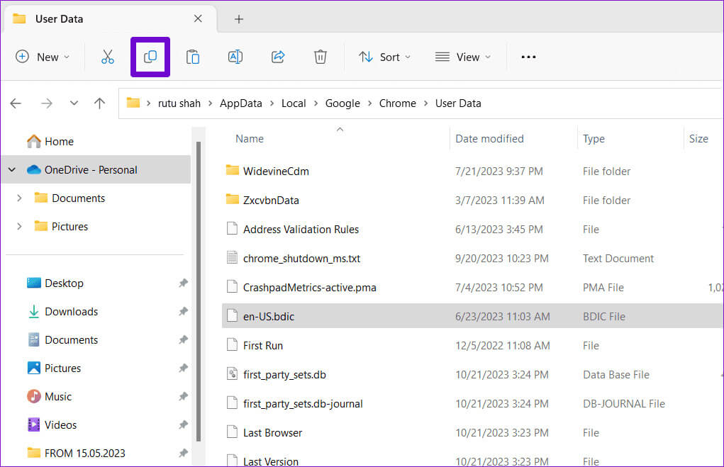 Copy-Dictionary-File-From-Chrome-Folder أفضل 7 إصلاحات لعدم عمل التدقيق الإملائي في Microsoft Teams على Windows
