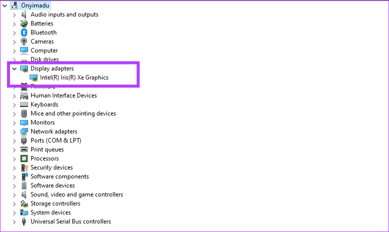 Display-adapters أفضل 5 إصلاحات لعدم اكتشاف وحدة معالجة الرسومات GPU على Windows 11