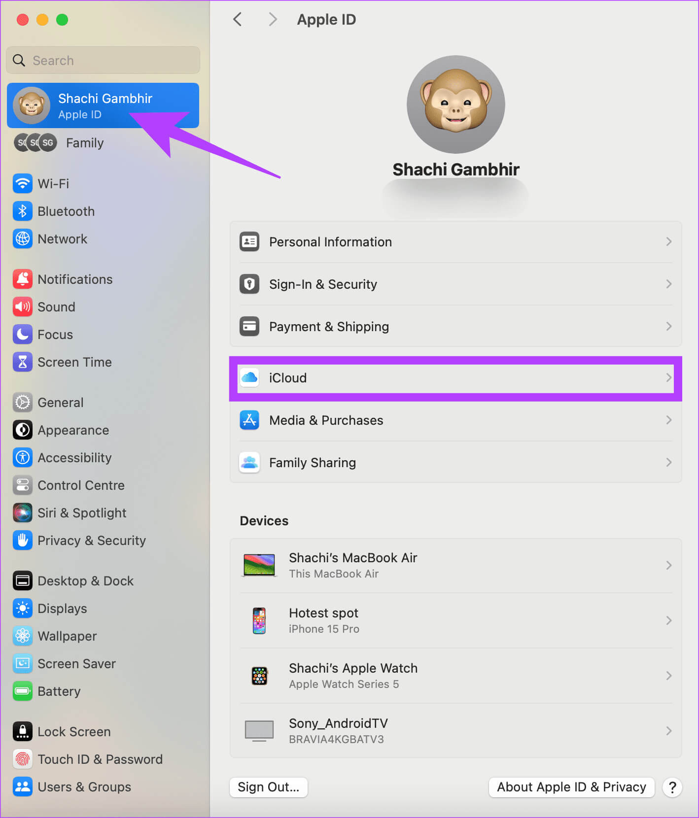 Select-iCloud-in-Settings 7 طرق لإصلاح عدم مزامنة iCloud Calendar مع Mac