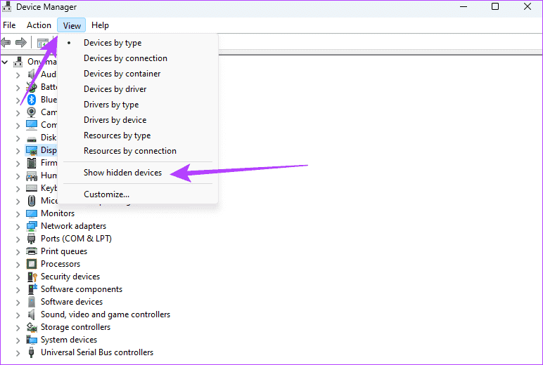 Show-hidden-devices أفضل 5 إصلاحات لعدم اكتشاف وحدة معالجة الرسومات GPU على Windows 11