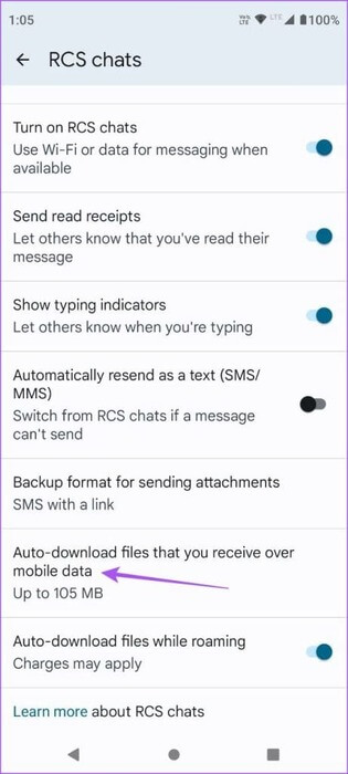 auto-download-files-over-mobile-data-google-messages-461x1024-1 أفضل 7 إصلاحات لعدم إمكانية إرسال صور GIF في تطبيق رسائل Google