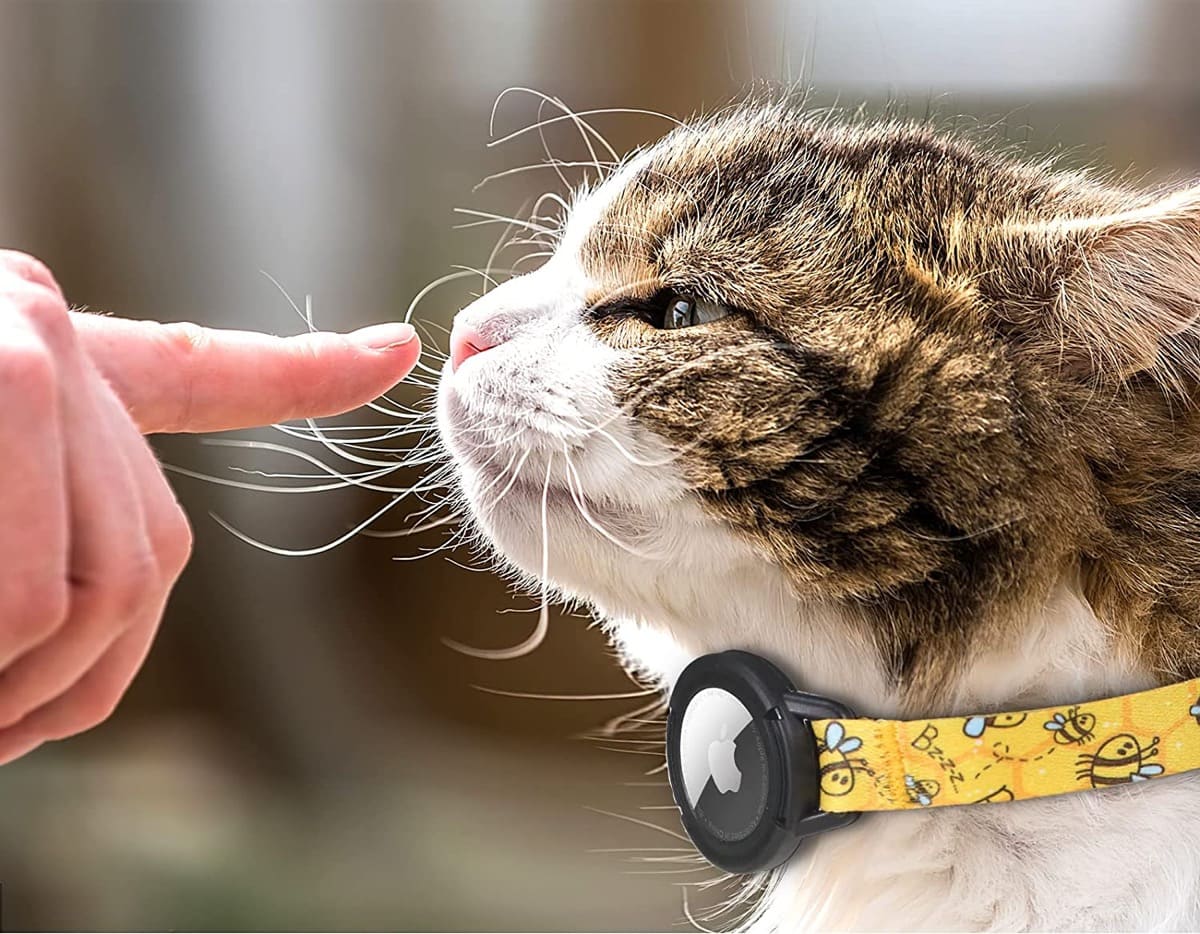 9-Best-Apple-AirTag-Cases-for-Your-Pets 6 طرق لإصلاح عدم ظهور AirTags في Find My