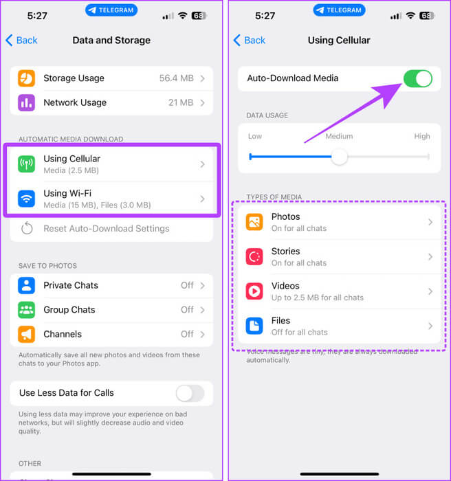 Auto-Download-Settings-of-Telegram-on-iPhone كيفية العثور على الملفات التي تم تنزيلها في Telegram على أجهزة Android وiPhone وMac