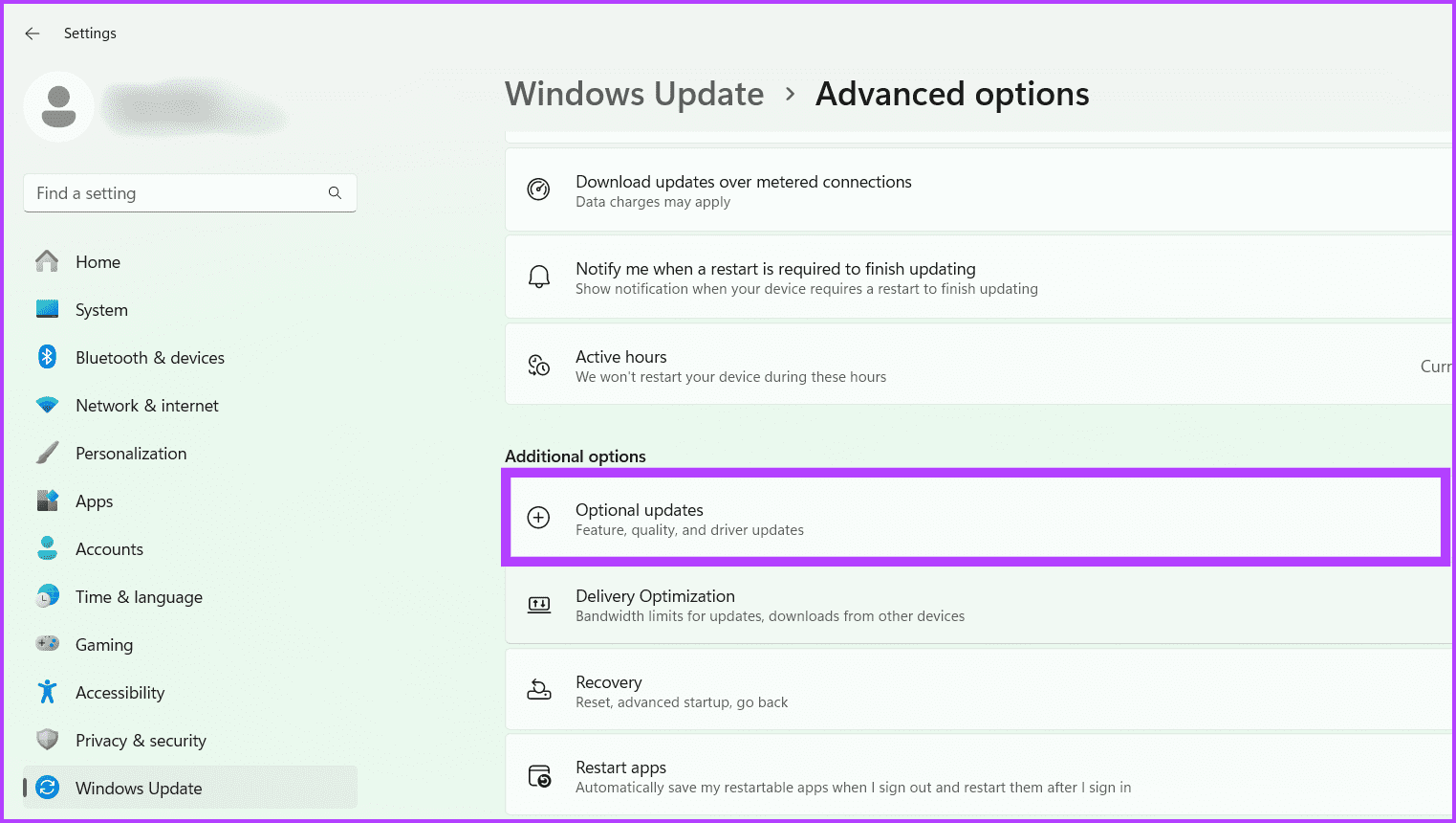 Click-Optional-updates-from-the-available-options 8 طرق لإصلاح خطأ التثبيت 0x80070103 على Windows 11