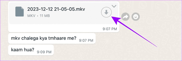 Download-Photovideo-sent-as-Documents-in-WhatsApp-on-Windows-750x252-1 كيفية حفظ صور/فيديوهات WhatsApp في المعرض على iPhone وAndroid وWeb